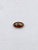 Апатит овал кабошон 13,5х8,8мм. (5,05ct)
